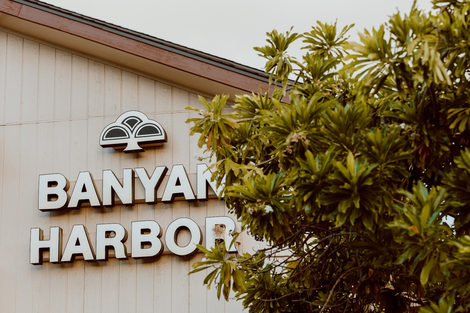 Banyan Harbor - United States