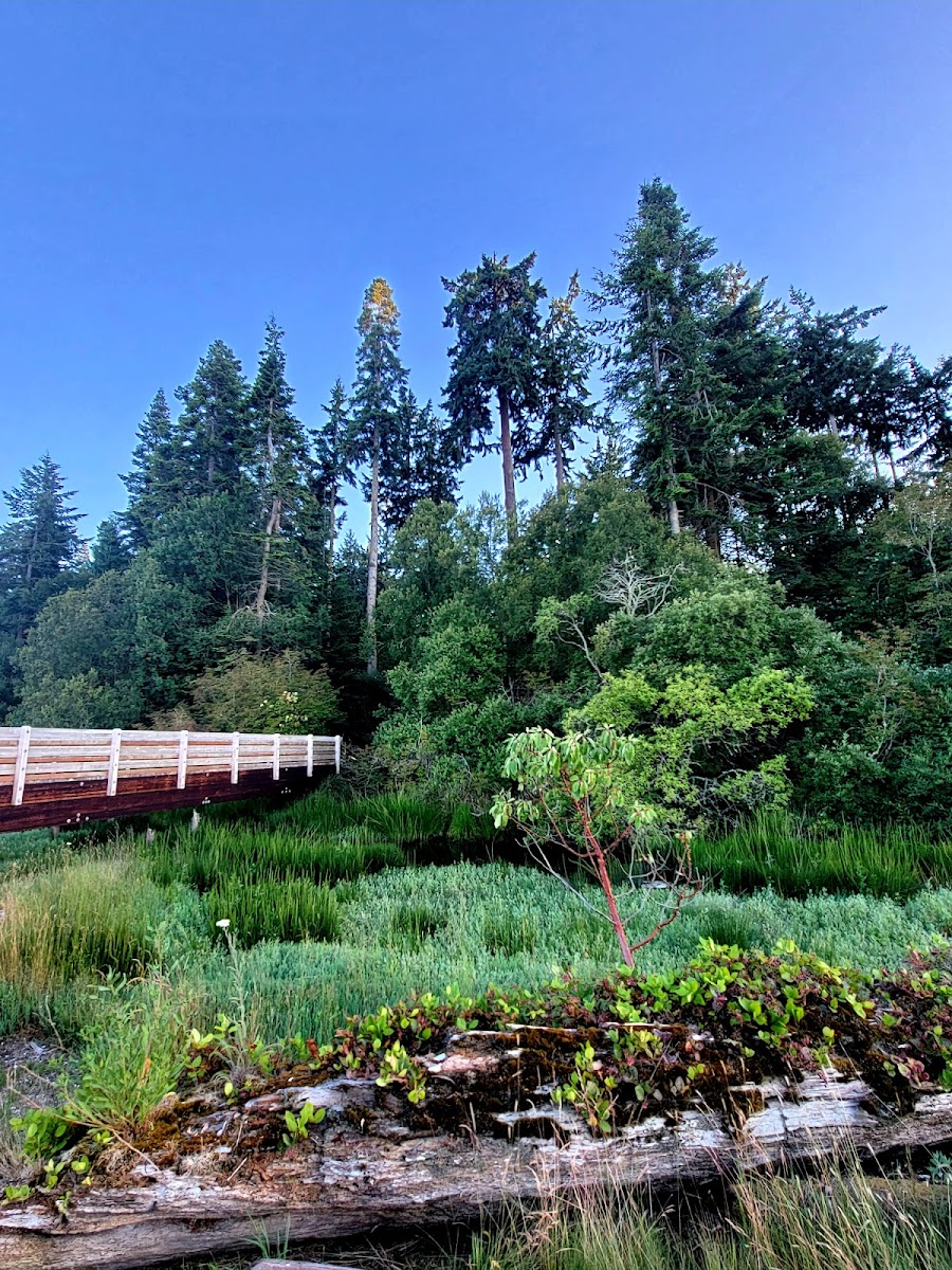 Kala Point Village - United States