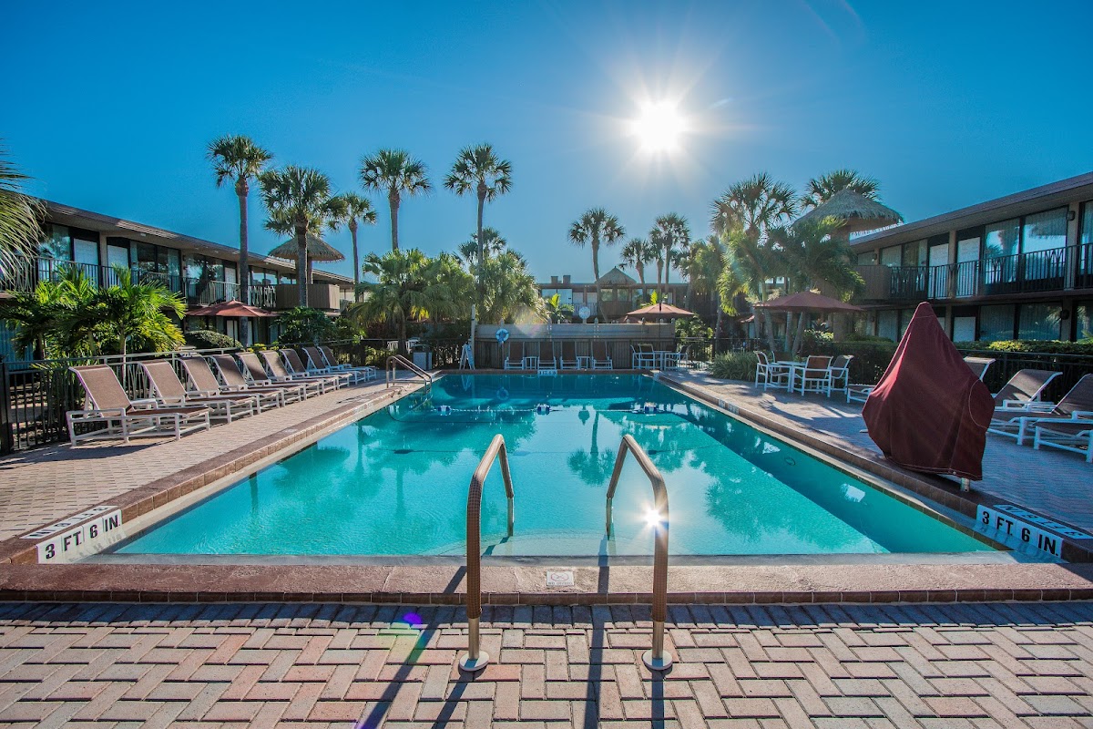 Magic Tree Resort