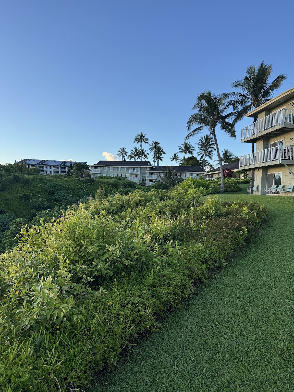 Alii Kai II