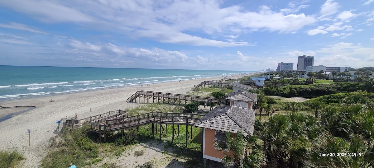 Ocean Forest Colony
